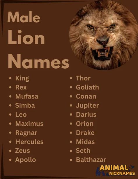 Male lion names that reflect strength and nobility. Ideal for lion owners seeking a powerful and memorable name for their pet. Animal Nicknames, Unique Name Ideas, Majestic Names, Norse Names, Persian Names, Funny Lion, Female Character Names, Female Lion, Unique Name