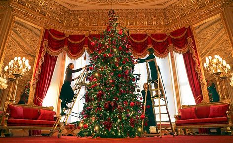 Prince William and Kate Middleton's London home and more royal residences decorated for Christmas: see photos - Photo 8 Christmas Classroom Treats, Royal Collection Trust, Royal Christmas, Reine Elizabeth Ii, Reine Elizabeth, Merry Christmas Images, Royal Residence, The Royal Collection, Christmas Classroom