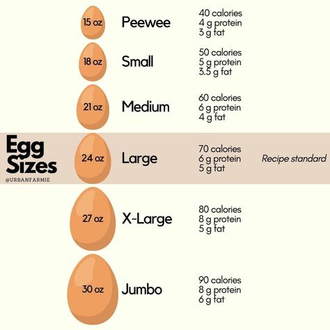 Definitive guide for what are the best eggs to buy including egg sizes, egg grades, feed, outdoor access, freshness comparisons Egg Production Chart, Benefits Of Eating Eggs, Egg Laying Hens, Selling Eggs, Types Of Eggs, Pasture Raised Eggs, Living Quotes, Egg Production, Clam Recipes