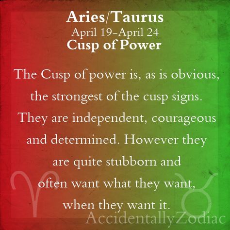 Aries/Taurus Cusp Part 1 Aries Zodiac Tattoos, Aries Taurus Cusp, Cusp Signs, Taurus Constellation Tattoo, Zodiac Cusp, Star Seed, All About Aries, Taurus Aries, Pisces Moon