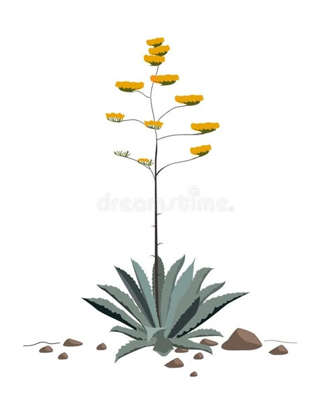 Flowers Of The American Agave Plant Stock Illustration - Illustration of bloom, blue: 78313427 Agave Plant Illustration, Yucca Plant Drawing, Century Plant Tattoo, Agave Plant Drawing, Agave Drawing, Agave Illustration, Agave Tattoo, Agave Art, Agave Flower