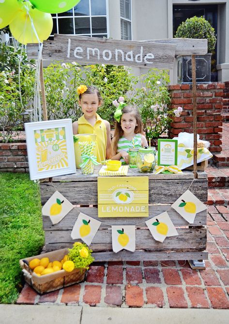 Kids Lemonade Stands, Lemonade Stand Birthday, Lemonade Stand Sign, Lemonade Stand Party, Diy Lemonade Stand, Kids Lemonade, Diy Lemonade, Summer Lemonade, Fresh Squeezed Lemonade