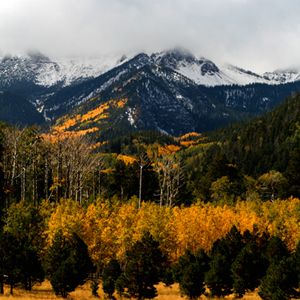 Fall in Flagstaff, Arizona - a short 2 1/2 hour drive from the Valley and we have this. Flagstaff Arizona, Flagstaff Az, Northern Arizona, Mountain Travel, Arizona Travel, Fall Travel, Flagstaff, The Great Outdoors, That Way