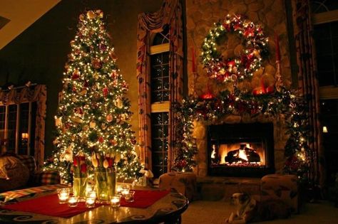 Tropical Christmas Decorations, Wallpaper Fireplace, Tapestry Needlepoint, Free Christmas Backgrounds, Christmas Lights Wallpaper, Christmas Desktop Wallpaper, Christmas Tree And Fireplace, Christmas Wallpaper Free, Christmas Background Images