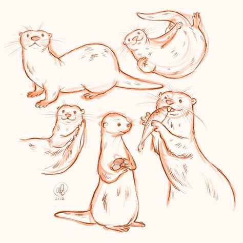 Otter Drawing Colored Pencil, American Traditional Otter Tattoo, Otter Sketch Easy, Otter Anatomy Drawing, Sea Otter Sketch, Cartoon Otter Drawing, How To Draw An Otter Step By Step, Otter Swimming Drawing, Sea Otter Drawing Easy