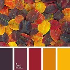 October colors Fall Color Combinations, Color Schemes Colour Palettes, Fall Color Palette, Foto Tips, Design Seeds, Color Balance, Drawing Tutorials, Color Stories, Colour Schemes