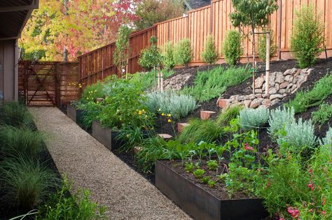 Landscaping on a slope - great solution for our falling terraces Steep Backyard, Landscaping A Slope, Sloped Backyard Landscaping, Landscaping On A Hill, Sloped Yard, Hillside Garden, Container Garden Design, Sloped Backyard, Hillside Landscaping