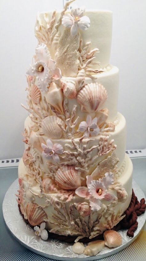 Seashell Wedding Cake, Nautical Cakes, Dolphin Cake, Seashell Cake, Dolphin Cakes, Beach Theme Wedding Cakes, Seashell Wedding, Sea Cakes, Beach Cakes