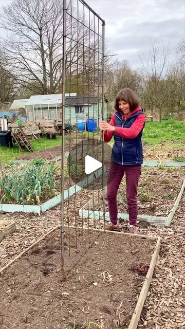 Vera Greutink | Edible Garden on Instagram: "Yesterday felt like the proper start of the gardening season! I put up my trellis and planted out presown snow peas. I also sowed some spinach and lettuce along the trellis to make use of the whole bed and the shelter provided by the row cover. It protects the plants both from cold and wind and pigeons. And now I’ll just have to hope for the spring to properly set in! Have you been able to do some gardening this weekend?" Garden Ideas For Small Spaces, Wind Garden, Pea Trellis, Row Covers, Vegetable Garden Diy, Snow Peas, Plant Protection, Seasonal Garden, Small Space Gardening