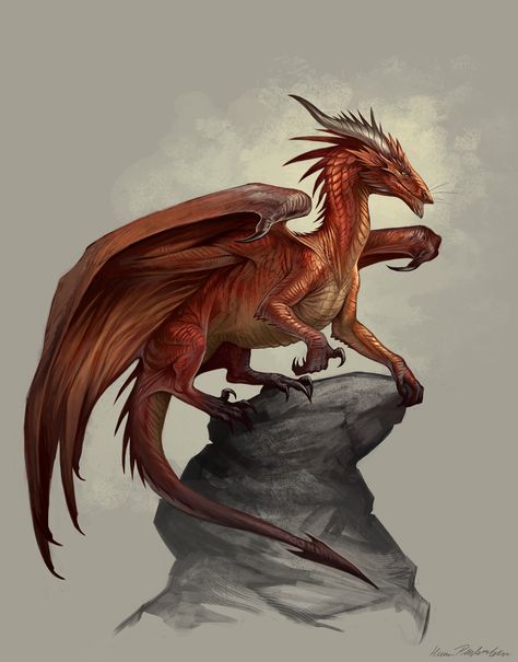 Orange Dragon, Dragon Heart, Dragon's Lair, Dnd Dragons, Dragon Images, Dragon Warrior, Cool Dragons, Dragon Rider, Alien Concept Art