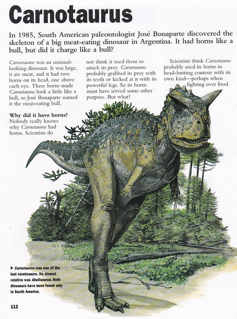 Vintage Dinosaur Art: Dinosaurs of the World (Avi-Cha) – Part 1 – Love in the Time of Chasmosaurs Dino Facts, Dinosaur Rawr, Fossil Dinosaur, Prehistoric Animals Dinosaurs, Dino Dino, Dinosaur Facts, Dinosaur Stuff, Vintage Dinosaur, Prehistoric Wildlife