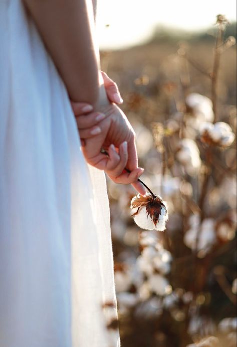 Cottonfield Photoshoot, Cotton Fields Photography, Cotton Photoshoot, Cotton Field Photoshoot, Cotton Field Photography, Insta Collage, Cottagecore Photoshoot, Field Senior Pictures, Cover Novel