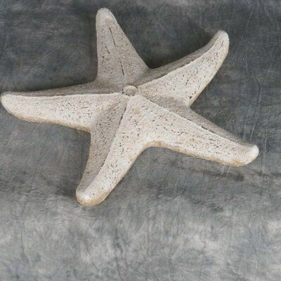 Highland Dunes Alldredge Papier Mache Sea Star Figurine Starfish Sculpture, Antique Billiards, Elephant Shelf, Wood Initials, Starfish Decor, Model Sailboat, Architectural Sculpture, Glass Fish, Design Toscano