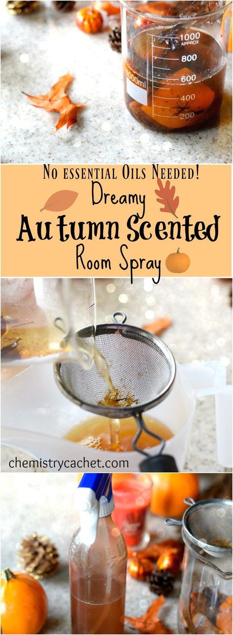 Homemade Natural Autumn Room Spray. No oils needed! All natural room spray with pumpkin, cinnamon , apples, leaves and more on http://chemistrycachet.com Chemistry Ideas, Diy Room Spray, Natural Room Spray, Autumn Diy, Autumn Room, Apples Cinnamon, Easy Fall Wreaths, Smell Goods, Fall Inspiration