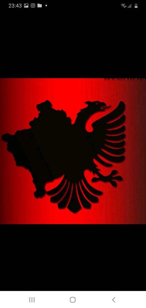 Albania Wallpaper Iphone, Albania Drawing, 28 November Albania Drawing, Eagle Drawing Easy, Independence Day Drawing, Flag Maker, Albanian Flag, Albania Flag, Eagle Drawing