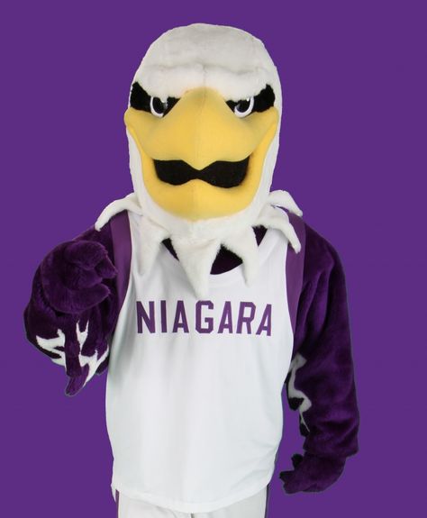 Niagara University Purple Eagles mascot, Monte the Eagle. Niagara University, Eagles Wallpaper, Eagles Mascot, Manhattan College, Sports Advertising, Eagle Mascot, Eagle Wallpaper, Team Mascots, The Eagle