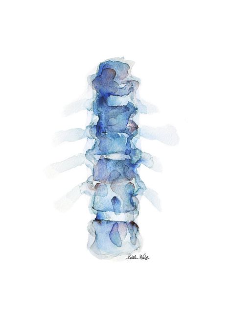 Blue Spine Print Series of 3 - Anatomy Art Set - 3 Watercolor Prints | acrylic painting food
, kitchen artwork painting
, kitchen artwork painting
, acrylic painting kitchen art
, oil painting food
, kitchen paintings art wall decor
, kitchen paintings art wall decor bohemian
, fruit wall art
, fruit art print
, fruit painting prints
, abstract fruit painting
, fruit canvas painting Spine Watercolor, Medical Art, Anatomy Art, Abstract Styles, X Ray, Watercolor Print, Painting & Drawing, Watercolor Painting, Art Set