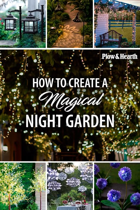 From simple string lights to solar solutions and special plants that look great in low light, you’ll soon have an enchanting, illuminated nighttime landscape you’ll love! Glow Garden Ideas, Enchanting Backyard Ideas, Night Garden Lights, Night Garden Ideas, Mystical Yard Ideas, Easy Full Sun Landscape Ideas, Fairy Garden At Night, Small Secret Garden Ideas Diy Projects, Wiccan Garden Ideas