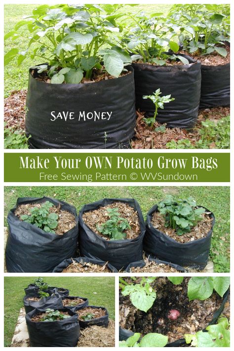 Potato Bins, Potato Planter, Grow Potatoes In Container, Potato Tower, Container Potatoes, Potato Planters, Potato Gardening, Grow Potatoes, Potato Bag