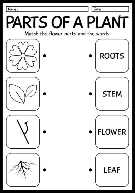 Explore our 1st grade life science worksheets with engaging activities and colorful illustrations to help young learners discover the wonders of the natural world. Access a wide range of printable resources to make learning about plants, animals, and the environment fun and educational for your students. #ScienceForKids #1stGradeLearning #STEMeducation #1stgradelife First Grade Worksheets Science, 1st Grade Plant Activities, Worksheets For Grade 1 Science, English For 1st Grade, 1st Grade Science Activities, 3rd Grade Science Activities, Science For Grade 1 Worksheets, Science Grade 2 Worksheets, 1st Grade Worksheets Science