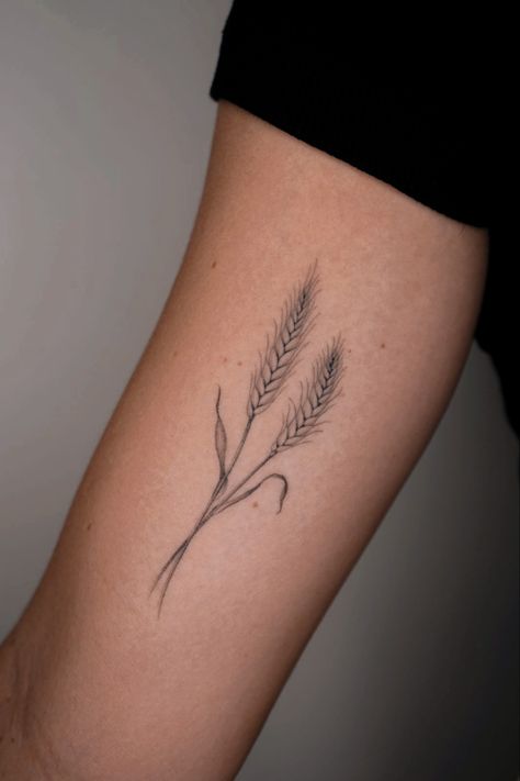 Wheat Sheaf Of Wheat Tattoo, Dainty Wheat Tattoo, Small Wheat Tattoo, Wheat Tattoo Design, Fine Line Wheat Tattoo, Wheat Stock Tattoo, Wheat Grass Tattoo, Wheat Stalk Tattoo, Wheat Field Tattoo