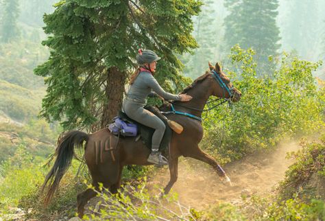 The Tevis Cup: A 100-Mile Endurance Ride Like No Other Endurance Horse Riding, Horse Disciplines, Endurance Horse, Endurance Riding, Horse Trail, Nevada Mountains, Two Horses, Horse Owner, Horse Health