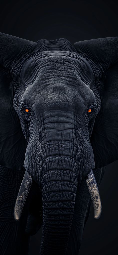 Elephant Wallpaper Iphone, 3d Wallpaper 4k, Wallpaper Animals, Liverpool Wallpapers, Elephant Wallpaper, Elephant Images, Dark Background Wallpaper, Technology Art, Optical Illusions Art