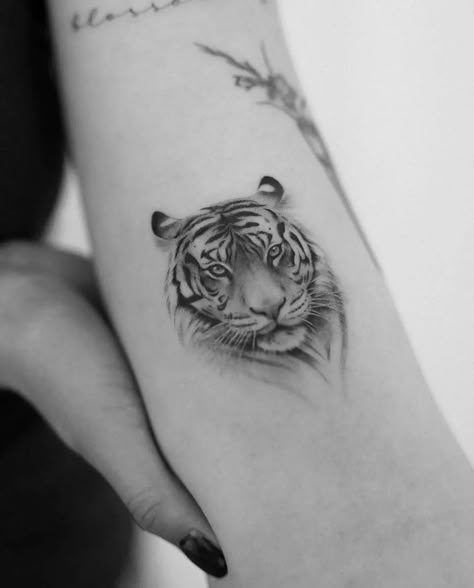 Tiger Tattoo Fine Line Tiger Tattoo, Small Tiger Tattoo, White Tiger Tattoo, Tiger Face Tattoo, Tiger Tattoo Sleeve, World Famous Tattoo Ink, M Tattoos, Tiger Tattoo Design, Famous Tattoos