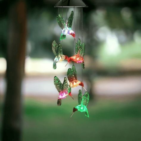 Transform your garden into a magical retreat with our Outdoor Solar Wind Chime Hummingbird Garden Light. This enchanting wind chime combines the beauty of nature-inspired design with the efficiency of solar power, creating a captivating and eco-friendly addition to your outdoor space. Featuring colour-changing LED hummingbirds, this wind chime is perfect for adding a touch of whimsy charm to any garden, patio, or balcony. VERDERAY offers a range of solar lights and gadgets to harness the s... Solar Wind Chimes, Hummingbird Garden, Garden Light, Solar Wind, Colour Changing, Nature Inspired Design, Outdoor Solar, Wind Chime, Garden Patio