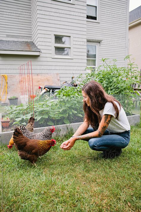 Dark Artsy, Feeding Chickens, A Quiet Life, Easy Animals, Quiet Life, St Pierre, Chicken Feed, Backyard Farming, Chicken Farm