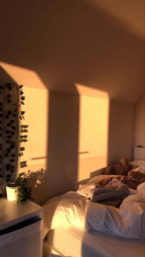 Sunshine Room Aesthetic, Orange Bedroom Aesthetic, Bedroom Sunlight, Chill Room Aesthetic, Sun Aesthetics, Sunkissed Aesthetic, Manifesting Aesthetic, Beige Room, Aesthetic Apartment