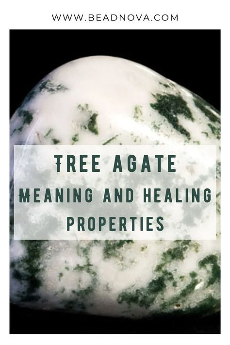 Tree Agate Crystal Meaning, Tree Agate Meaning, Uses Of Trees, Earth Vibes, Spiritual Awakening Higher Consciousness, Crystals Energy, Agate Meaning, Third Eye Opening, Spiritual Awakening Quotes