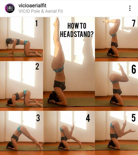 Benefits Of Handstands, Handstand Exercises, Handstand Training, Handstand Yoga, Gymnastics Stretches, Yoga Facts, Yoga Handstand, Morning Yoga Routine, Daily Yoga Workout