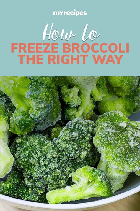 Freeze Broccoli How To, Freezing Broccoli How To, Freezing Fresh Broccoli, How To Freeze Fresh Broccoli, Can You Freeze Broccoli, Freezing Broccoli, Freezing Cauliflower, How To Freeze Broccoli, How To Prepare Broccoli