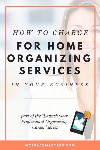 Professional Organizing Tips, Professional Organizer Business, Organizing Business, Professional Organizing, Professional Organizers, Organizing Services, Home Organizer, Home Organizing, Dollar Store Organizing