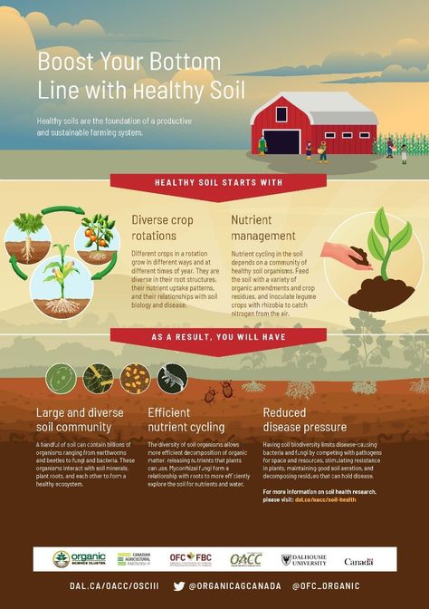 Soil Health Infographic_FINAL Soil Type, Farming Infographic, Indian Soil Map, Agriculture Infographic Design, Soil Infographic, Library Research, Farming System, Root Structure, Campus Map