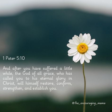 1 Peter 5:10 And after you have suffered a little while, the God of all grace, who has called you to his eternal glory in Christ, will himself restore, confirm, strengthen, and establish you. #DailyDevotional #BibleVerseOfTheDay #FaithInspired #ChristianEncouragement #GodsWord #FaithDaily #EncouragementFromScripture #ScriptureOfTheDay #DailyBread #BibleStudy #ChristianInspiration #DailyInspiration #InspirationFromAbove #WordOfGod #FaithJourney #Inspiration #Mindfulness #Gratitude #Hope #Jo... 1 Peter 5 10, Peter 5 10, Peaceful Heart, 1 Peter 5, Scripture Of The Day, Daily Encouragement, Daily Reflection, Christian Encouragement, 1 Peter