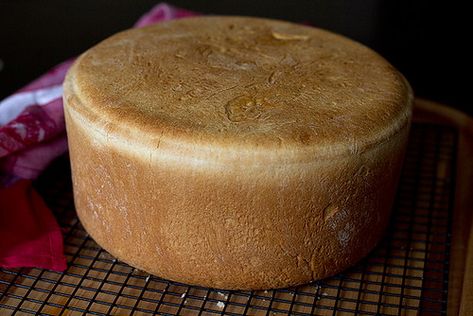 Basque Bread Recipe, Sheepherders Bread Recipe, Cast Iron Dutch Oven Cooking, Freezing Bread, Oven Baked Bread, Basque Food, Father Died, Iron Recipes, Homemade Sauce Recipes