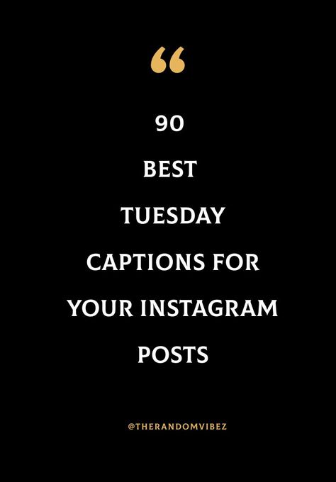 Saturday Captions Instagram Story, Tuesday Captions Instagram, Tuesday Quotes Humor, Tuesday Motivation Humor, Quotes About Tuesday, Tuesday Status, Tuesday Instagram Story, Twinning Caption, Tuesday Captions