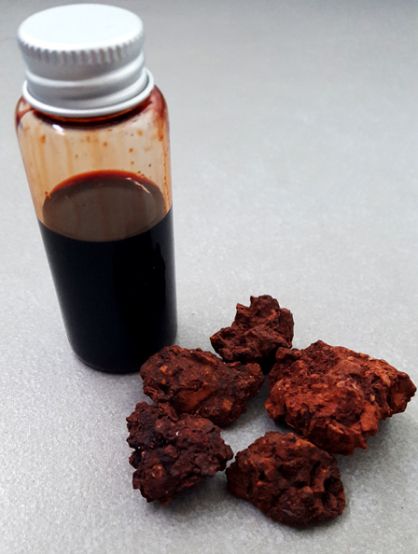 Unsurprisingly, making Dragon’s blood ink is not as straightforward as all the online tutorials with the same copypasted (mis)information make it seem. How To Make Ink, Dracaena Cinnabari, Diy Ink, Homemade Watercolors, Ink Making, Paint Making, Homemade Paint, Natural Dye Fabric, Eco Dyeing