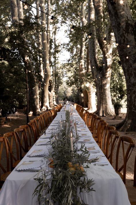 One long wedding dining table on a tree lined path and fairy lights to frame the setting. Olive branches, citrus fruit and candles as decor to set the mood as the sun set in the sky. M&M wedding Aix en Provence 2023. Olive Tree Branches Wedding, Wedding Olive Branch Decoration, Olive Branch Table Runner, Olive Tree Wedding Theme, Olive Branches Table Decor, Olive Tree Table Decoration, Olive Branch Wedding Decor, Olive Leaf Decor, Tree Branch Wedding Decor