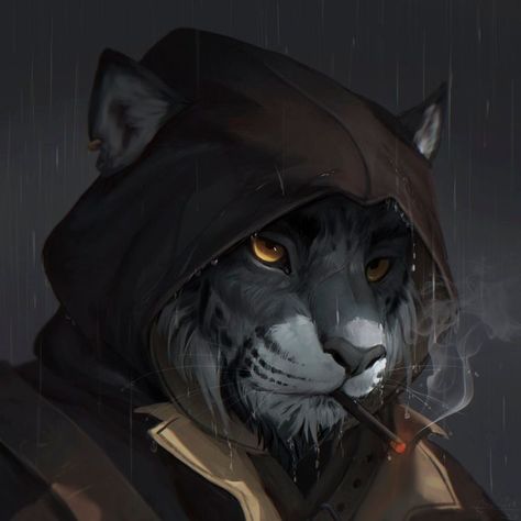 Tabaxi Rogue, Pathfinder Character, Heroic Fantasy, Roleplay Characters, Fantasy Races, Dungeons And Dragons Characters, Dnd Art, Fantasy Rpg, Medieval Fantasy