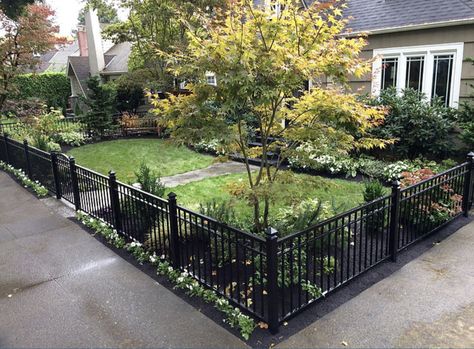 Short Fence, Black Fence, Pool Stuff, Privacy Fence Designs, Front Fence, Brick Fence, Small Front Yard, Steel Fence, Wrought Iron Fences