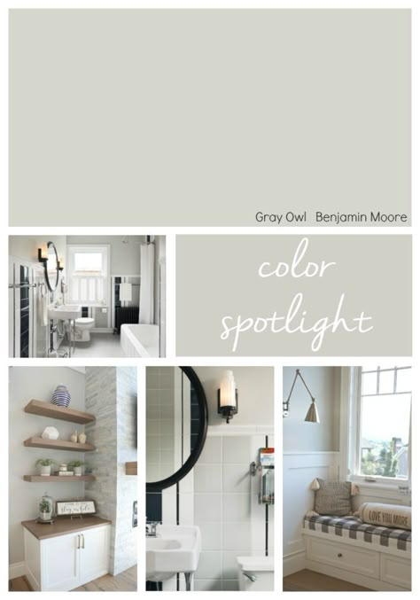 Gray Owl Paint, Benjamin Moore Grey Owl, Color Spotlight, Living Room Colour Schemes, Benjamin Moore Gray, Interior Paint Colors Schemes, Grey Owl, Farmhouse Paint Colors, Paint Colors Benjamin Moore