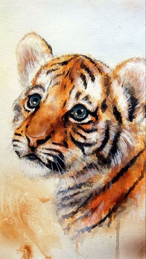 Watercolour Tiger, Tiger Watercolor, Animal Paintings Acrylic, Wild Animal Wallpaper, Tiger Artwork, Tiger Drawing, Lion Photography, Tiger Painting, Animal Illustration Art