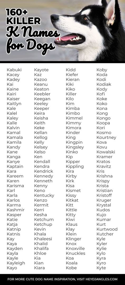 160+ Killer K Names for Dogs - From Kobe, Katie, and Koda, to Kirby, Khaleesi, Kaiser, Kyte and Kujo, check out over 160 killer K names for dogs right here! #knames #dognames #newpuppy Koda Name, Goat Names, Rpg Names, Tough Dog Names, Sims Names, Cute Pet Names, Boy Dog Names, K Names, Female Dog Names