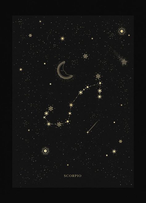 Zodiac Constellation Art, Scorpio Constellation Tattoos, Constellations In The Sky, Zodiac Sign Scorpio, Scorpio Art, Sagittarius Constellation, Gemini Constellation, Aries Constellation, Aquarius Constellation