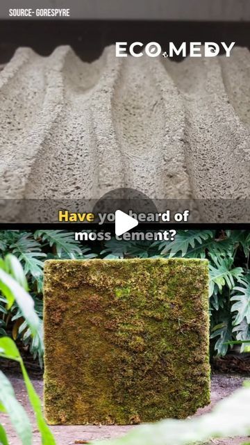 Moss Cement Wall, Natural Building Materials Architecture, Moss Concrete, Moss House, Manor Exterior, Building Materials Architecture, Moss Gardens, Moss Paint, French Manor