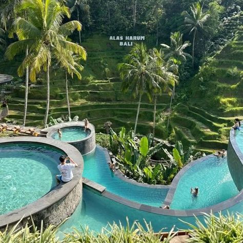 Loving my best bali life ever... @pinterest #bali #baliindonesia #pinterest Bali Indonesia Resorts, Cretya Ubud, Bali Activities, Bali Travel Photography, Bali Life, Bali Holiday, Bali Baby, Bali Trip, Bali Guide