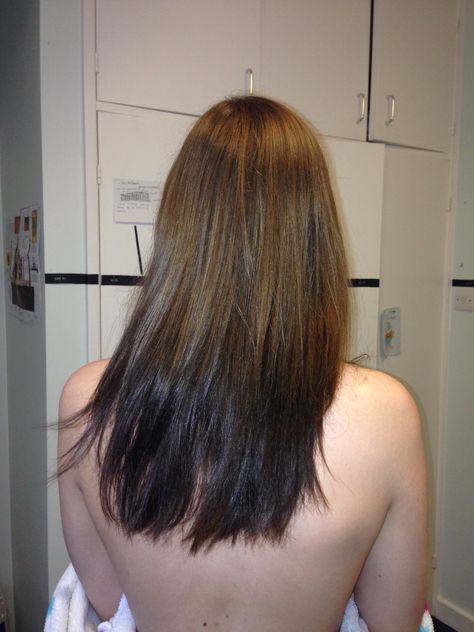 Splash Lights Hair, Light Brown To Dark Brown Hair Ombre, Brown Hair Black Ends, Brown Hair With Black Ends, Ombre Hair Reverse, Brown Hair Black Tips, Dark Ends Hair, Light Roots To Dark Ends, Dark Brown Hair Ombre